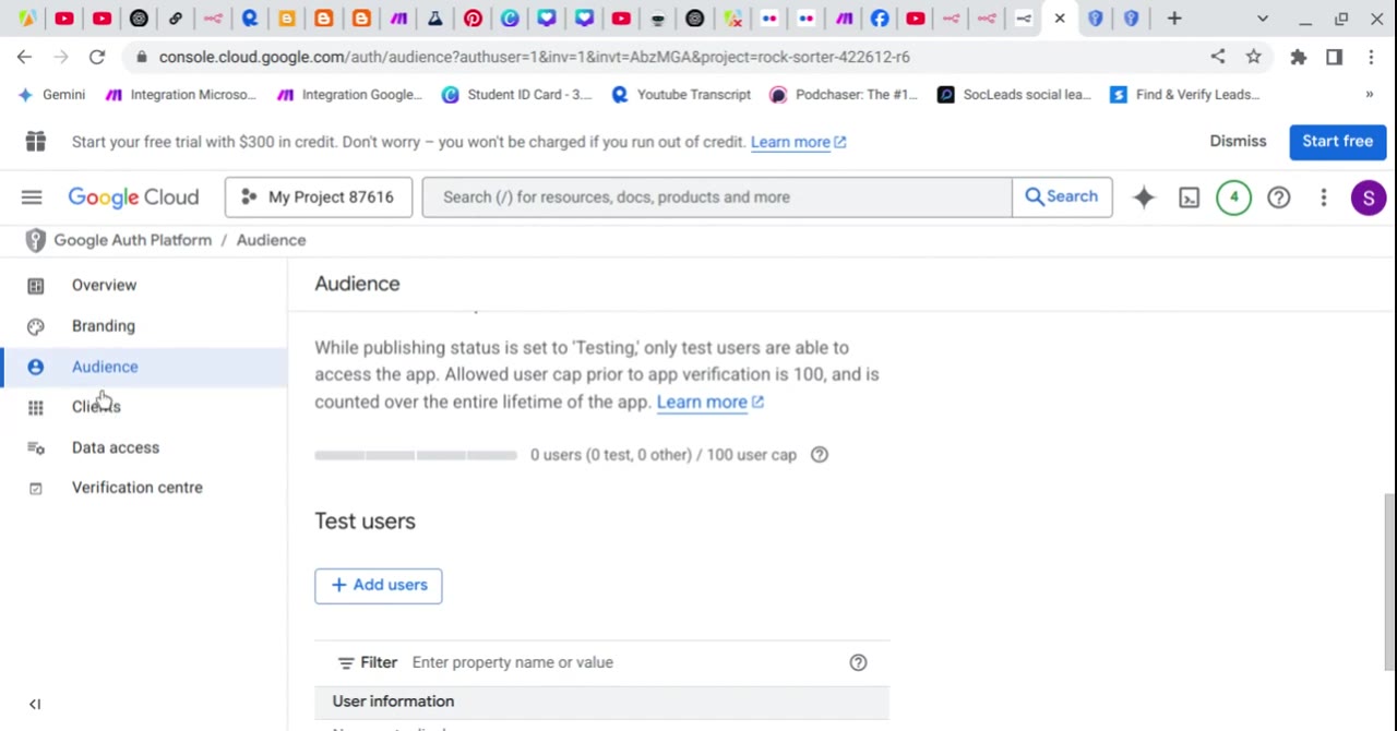 Google Cloud Audience page for OAuth consent