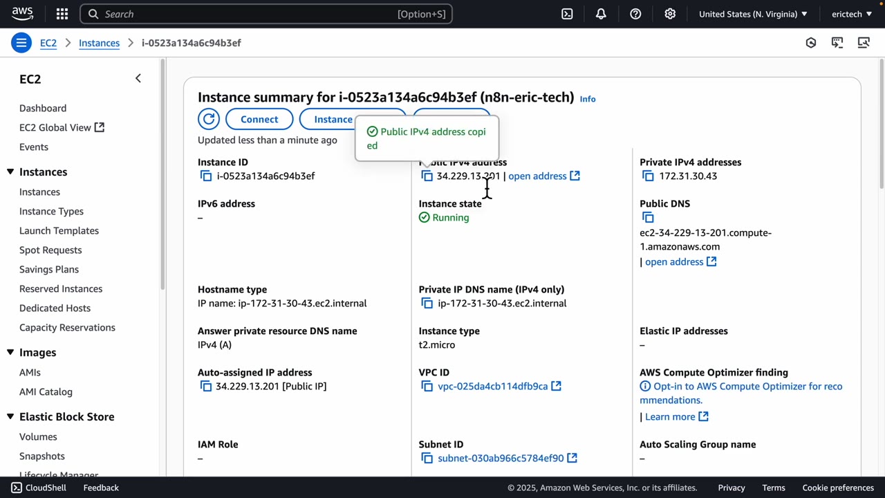 Copying the EC2 public IPv4 address